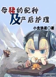 母豬的配種及產後護理-小母豬與神君的日常