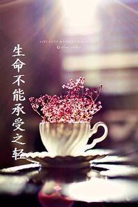 短篇：生命不能承受之轻