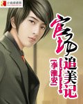 官场追美记