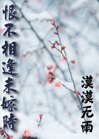 恨不相逢未嫁時(出書版)
