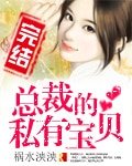 总裁的私有宝贝/总裁来袭