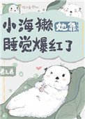 小海獺她靠睡覺爆紅了