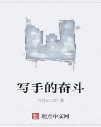 写手的奋斗
