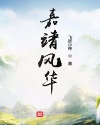 嘉靖风华