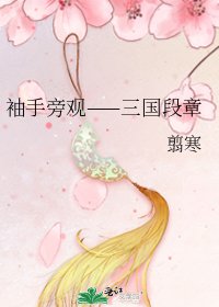 袖手旁觀——三國段章