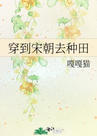 穿到宋朝去种田