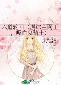 六道轮回(漫综主网王,吸血鬼骑士)