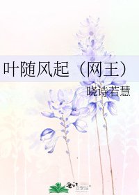 《葉隨風起(網王)》