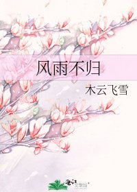 《風雨不歸》