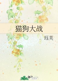 猫狗大战