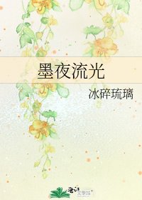 墨夜流光