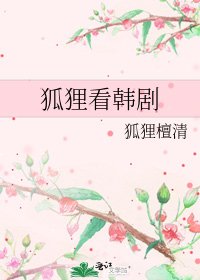 狐狸看韩剧