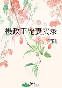 攝政王寵妻實錄