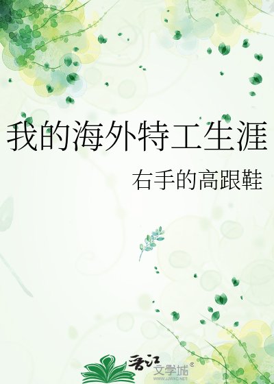 《我的海外特工生涯》
