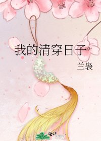 我的清穿日子