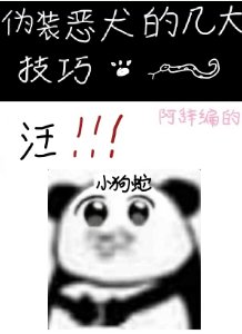 偽裝惡犬的幾大技巧