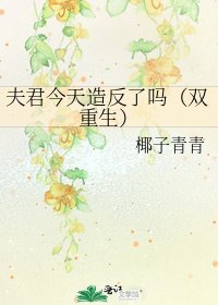 夫君今天造反了嗎(雙重生)