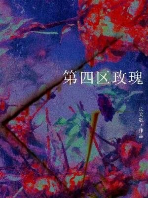 第四區玫瑰