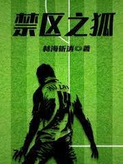 《禁区之狐》