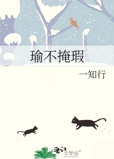 瑜不掩瑕